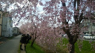 s-DSC_2086.jpg